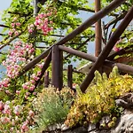 Il Borgo Dei Corsi - Charming In Tuscany Ortignano Raggiolo