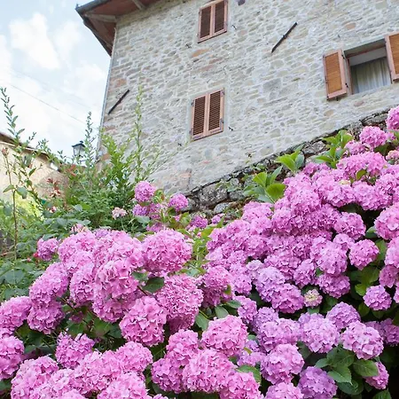 Il Borgo Dei Corsi - Charming Ortignano Raggiolo