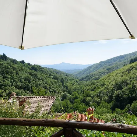 Il Borgo Dei Corsi - Charming Ortignano Raggiolo